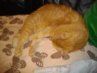 IMGP2073.webp
