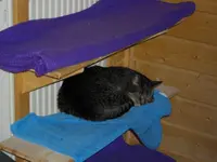 IMGP2066.webp