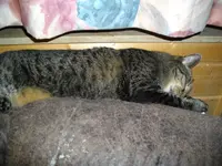 IMGP2072.webp