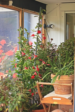 Einzug ins WiKa_17102015_1_600.webp