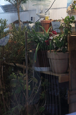 Einzug ins WiKa_17102015_4_600.webp