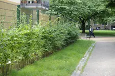 _G107466.webp