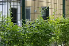 _G107465.webp