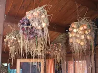 Garten 010.webp