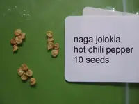 Chili Naga Jolokia + Black Hungary 004 1000kb.webp