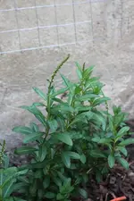 IMG_0845  1.webp