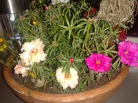 ABCD0002.webp