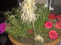 ABCD0003.webp