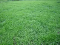 IMG_3361.webp