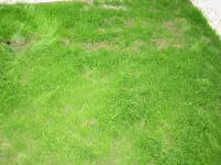 IMG_3359.webp