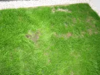 IMG_3363.webp