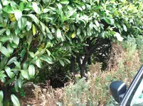CIMG0134.webp