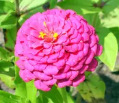 SA500422.webp