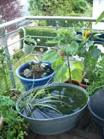 DSCN0478.webp