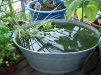 DSCN0500.webp