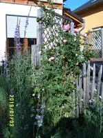 S4300108.webp