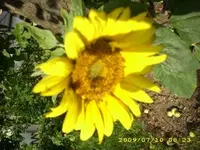 JD500140.webp JD500140.webp