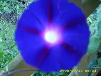 JD500142.webp