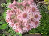 JD500165.webp JD500165.webp