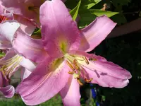 DSC00045.webp