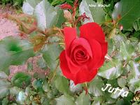 IMG_1722.webp