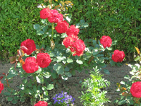 IMG_1873.webp