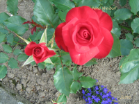 IMG_1735.webp