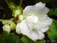 PICT4482.webp