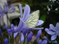 PICT4419.webp