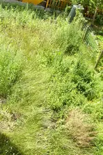 REH 2004-08-15-10.webp