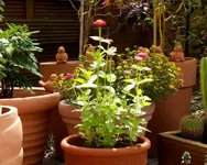 REH 2009-07-14-01.webp