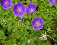 REH 2009-07-14-10.webp
