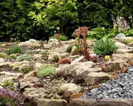 REH 2009-07-12-04.webp