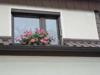 19.07.2009 010.webp