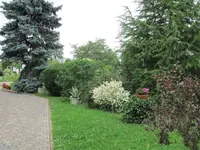 19.07.2009 020.webp
