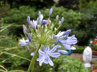 SA500371.webp
