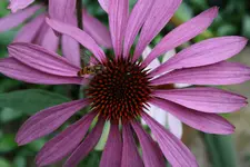 Img_0657klein.webp