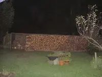 Holz-sie sind dagewesen....webp