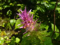 DSC02575.webp