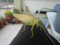 20090720_8961.webp