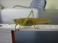 20090720_8967.webp