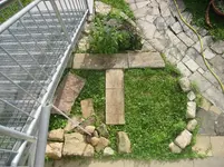 20090706_8867.webp 20090706_8867.webp