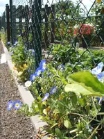 Garten 018.webp