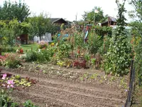 Garten 019.webp
