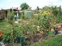 Garten 021.webp