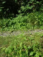 DSC02298.webp