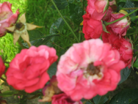 IMG_2163.webp