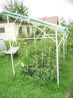 RIMG0022.webp