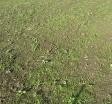 IMG_7464.webp