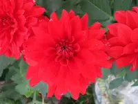 IMG_1658 40.webp